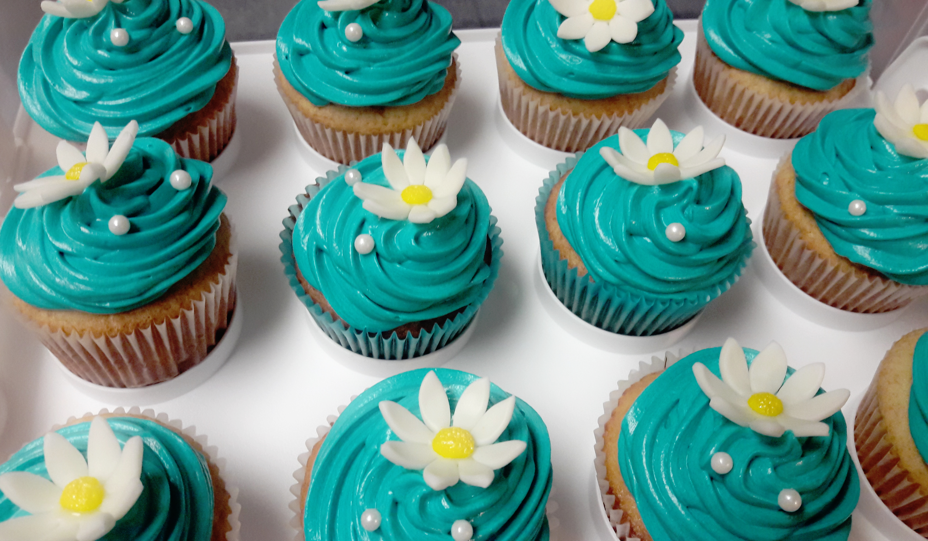 Cupcakes with Icing